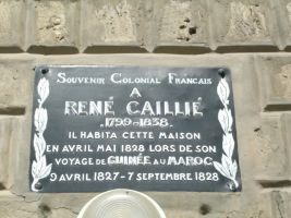 click to enlarge